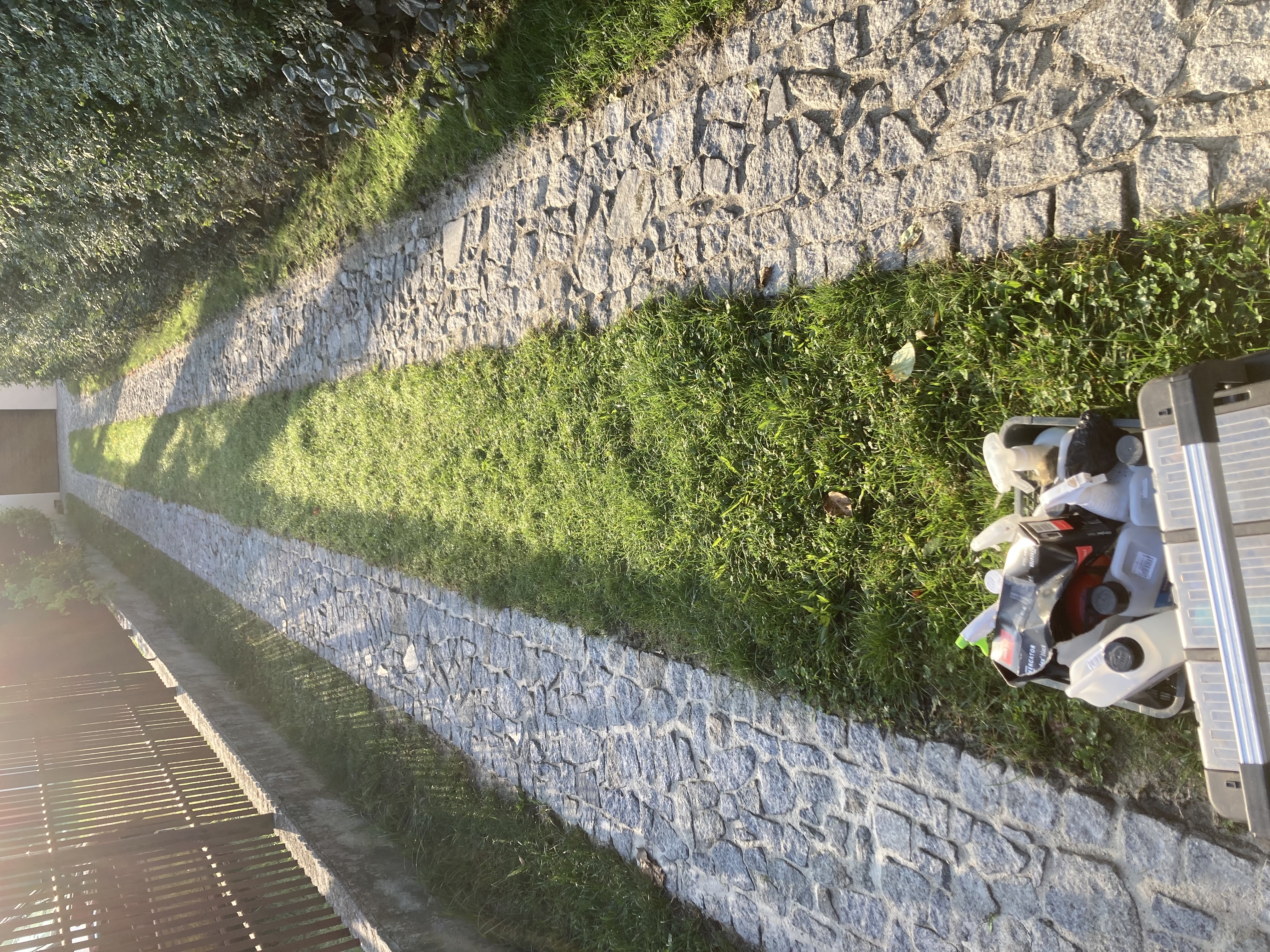 Ścieżka z kostki granitowej po fugowaniu — czysta spoina bez chwastów