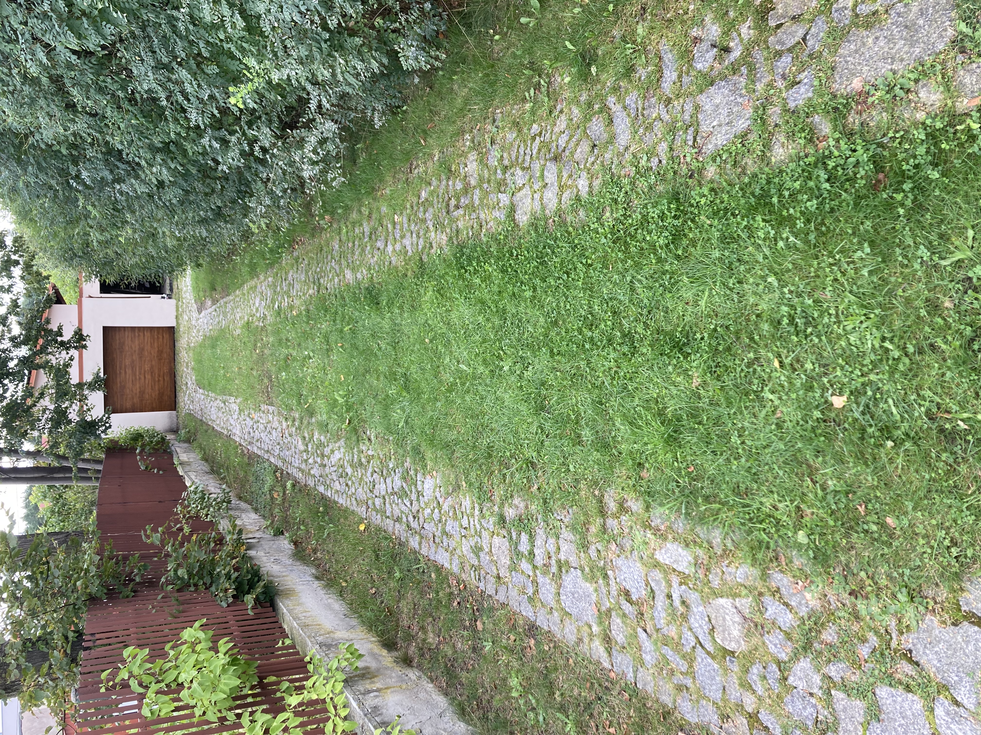 Ścieżka z kostki granitowej przed fugowaniem — chwasty w spoinach